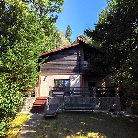 Mountain Family Chalet On Prahova Valley คอมาร์นิค ภายนอก รูปภาพ