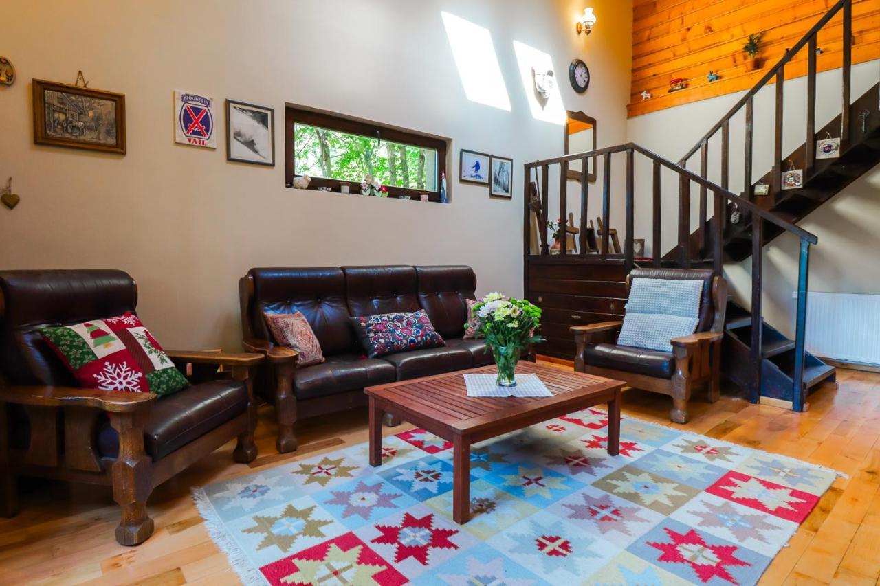 Mountain Family Chalet On Prahova Valley คอมาร์นิค ภายนอก รูปภาพ